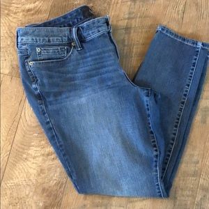 Torrid Premium Jeans